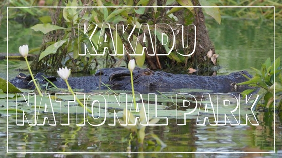 Luxury Accommodation Kakadu